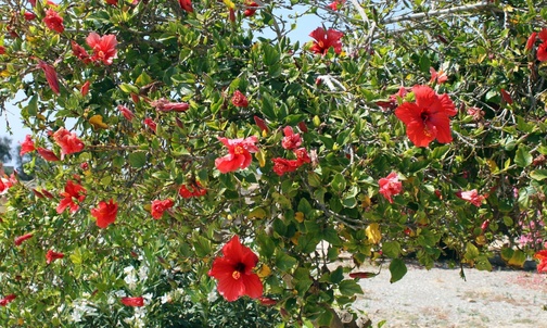 Za wyciągnięcie z tarapatów