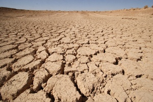 Ekstremalna susza na Środkowym Zachodzie