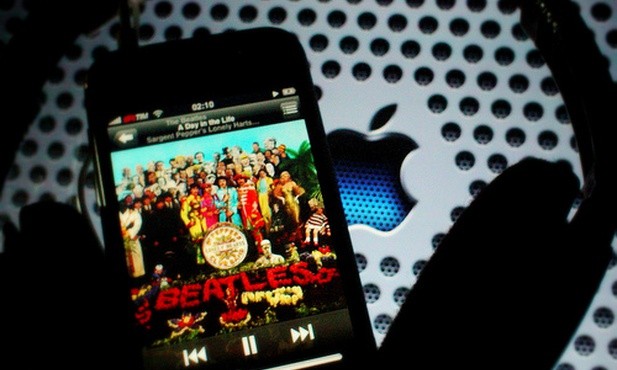 Co ściągają internauci?