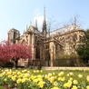 Paryż: odpust w Notre Dame
