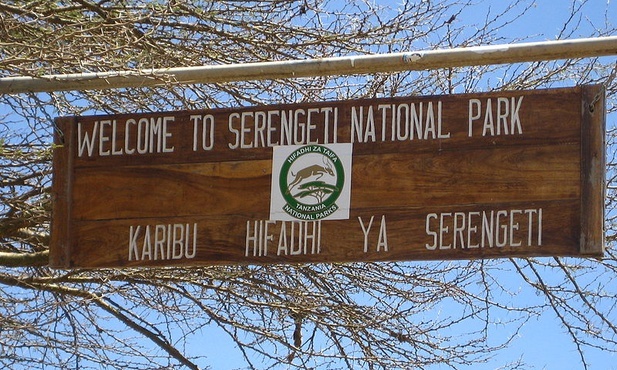 Serengeti zagrożone autostradą