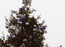 Taniec uschniętej choinki