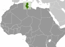 Część Sahary strefą wojskową