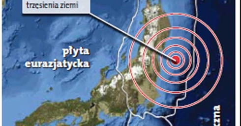 Jak budować tam, gdzie się trzęsie?