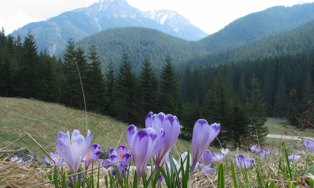 W Tatry wróciła zima