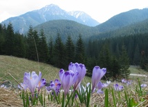 W Tatry wróciła zima