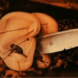 Krytykanctwo