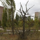 Czarnobyl: 25 lat po katastrofie