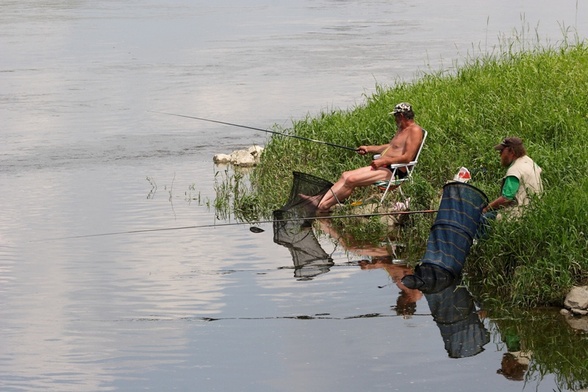 Porządek w rybach musi być