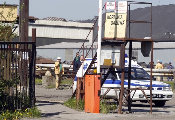 Pies nie pomógł znaleźć ratownika