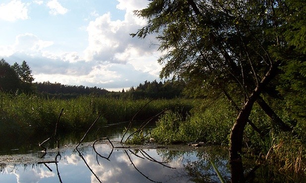 Dolina Rospudy