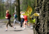 Strażnicy biegną w pielgrzymce