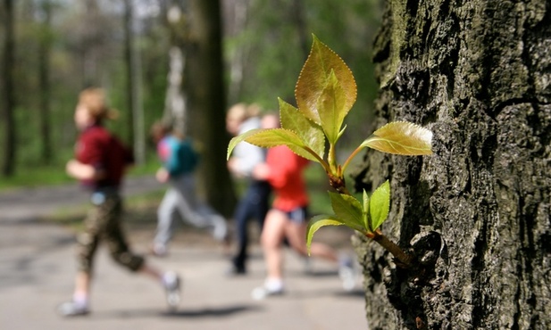 Strażnicy biegną w pielgrzymce