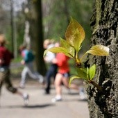 Strażnicy biegną w pielgrzymce