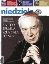 Niedziela 22/2011