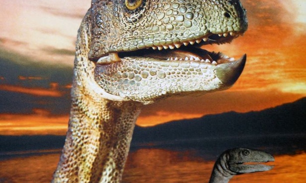 Będzie domek dla badaczy silezaura z Krasiejowa