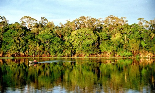 Kościół broni Amazonii