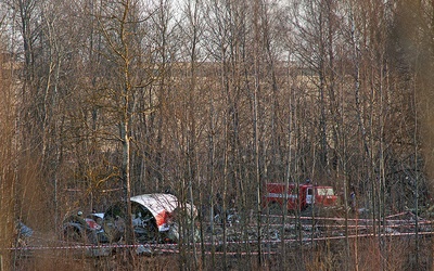 Zespół Macierewicza: Skrzydło Tu-154 nie mogło odpaść po zderzeniu z brzozą