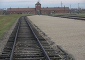 Pamięci ofiar KL Auschwitz - 71. rocznica