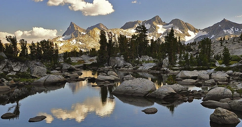 Bez dziczy nie przetrwamy