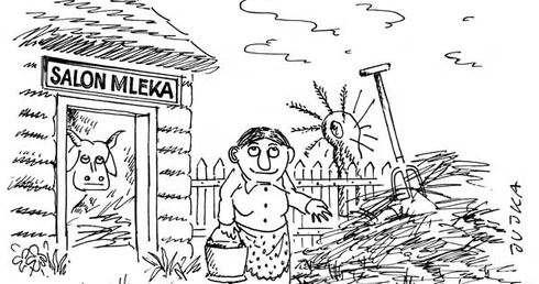 Rysuje Jujka