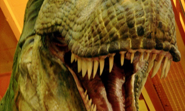 Rybożerny dinozaur odkryty w Australii