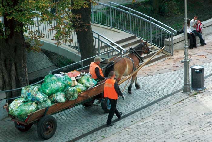 Porządek  w śmieciach