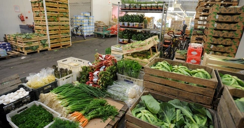 Czeskie warzywa bez embarga    