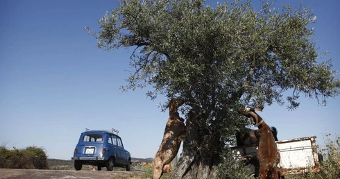 45 lat jeździł bez prawa jazdy