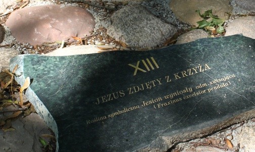 Mówiące gałązki