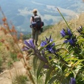 Bieszczady