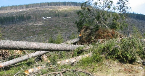 Sosnowski o finansowaniu ratownictwa górskiego