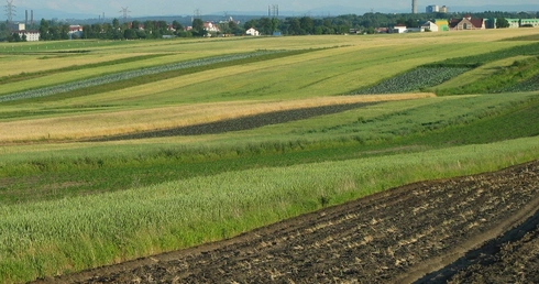 Państwowa ziemia zdrożała