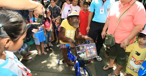 A rower jest wielce OK, rower to jest świat!