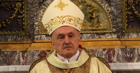 Potrzebujemy św. Maksymiliana