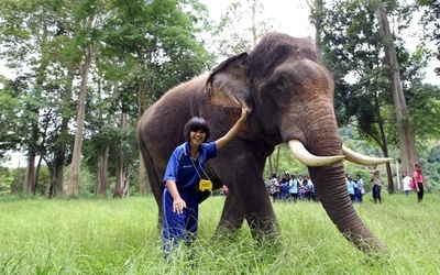 Słonie leczą dzieci