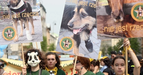 Zwierzęta proszą o głos na TAK