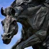 Odkryto najstarsze ślady hodowli koni
