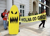  GMO wzbudza ogromne emocje.  Co pewien czas odżywają dyskusje  na ten temat