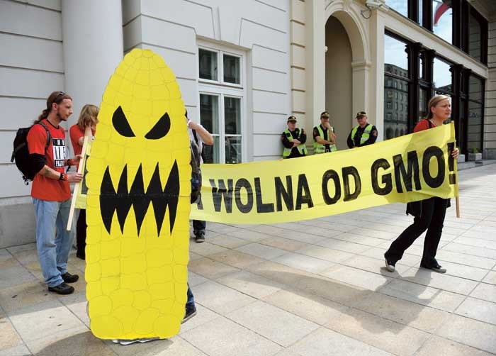  GMO wzbudza ogromne emocje.  Co pewien czas odżywają dyskusje  na ten temat