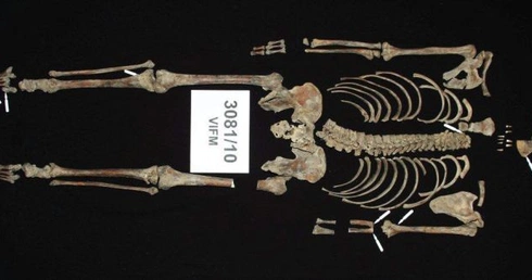 Zidentyfikowano szczątki Neda Kelly'ego