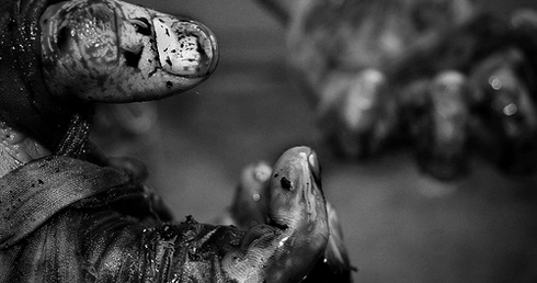 Kraków: Zrobili z osiedla pole bitwy