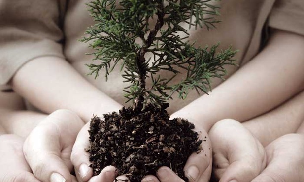 Od natury do kultury