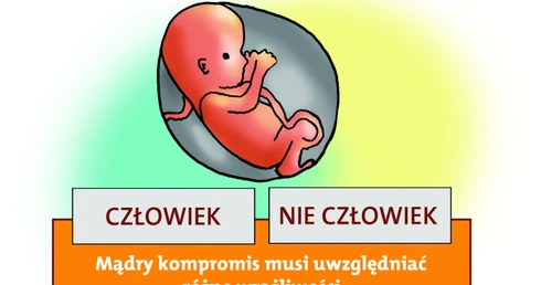 Mrożenie logiki