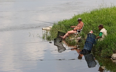 Wisła czeka na łososia