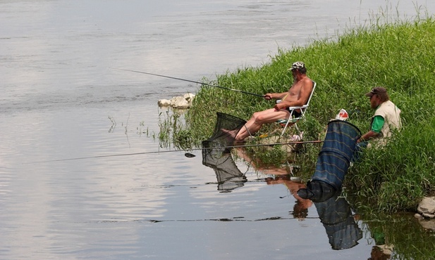 Wisła czeka na łososia