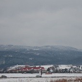 Stąd pochodzi 36. żyjących kapłanów