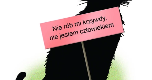 Szacunek dla masakry