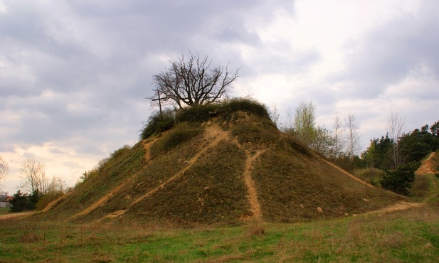 Proboszczewice