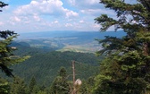 Pieniny